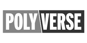 Information Security Officer polyverse slider - Information Security Officer